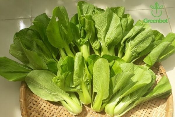 Sắt và kẽm thường có trong các loại rau lá xanh (cải xoăn, cải bắp, cải bó xôi, bông cải)