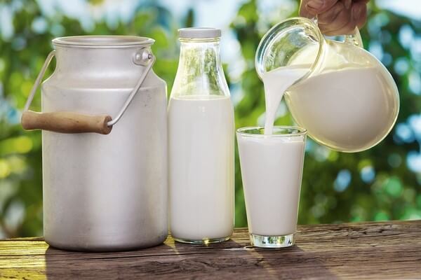 Calcium dễ dàng tìm thấy trong các loại sữa