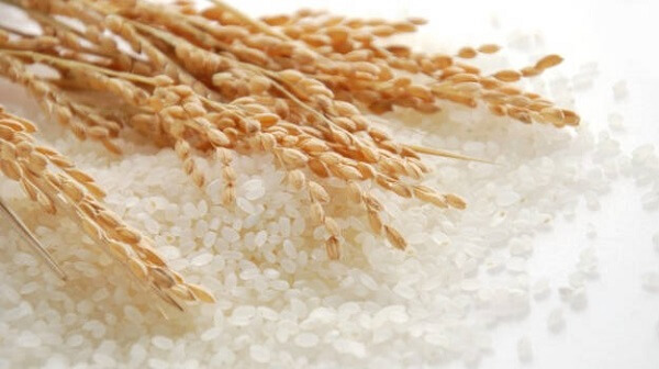 Quá trình sản xuất bột gạo cũng khá kỳ công