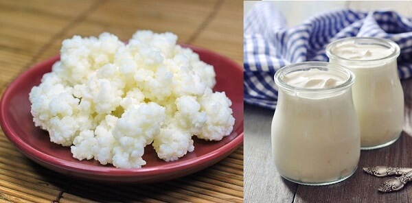 Giá trị dinh dưỡng của Kefir gồm các dưỡng chất của sữa