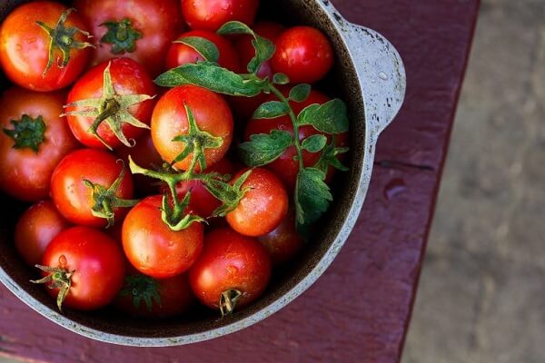 Ăn cà chua có tác dụng gì với làm đẹp da, sức khỏe