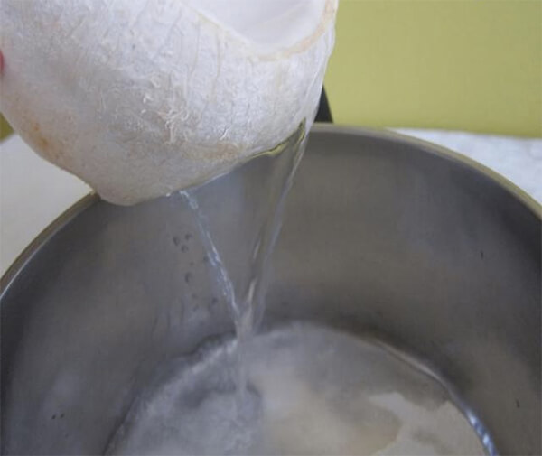 Chắt nước dừa xiêm – cách làm thạch dừa rau câu