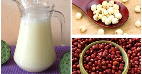 12 loại sữa hạt tại nhà cho con uống thích mê 10