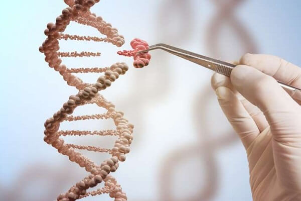 Tính chất đột biến gen là gì, gồm những dạng nào và ví dụ?