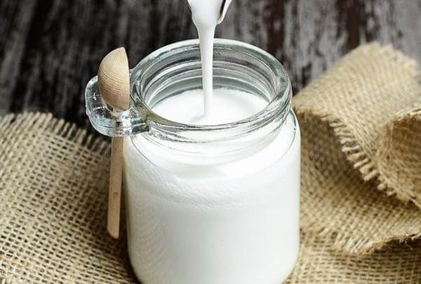 Nấm sữa chua Kefir: 11 đến 16 gram protein/ cốc