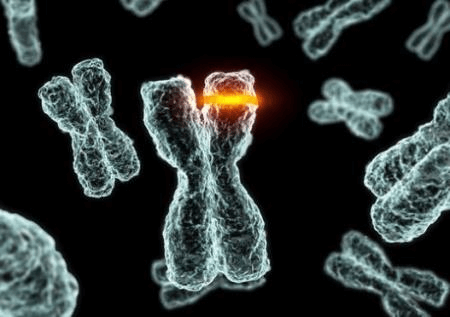 Đột biến gen có ý nghĩa trong sinh học