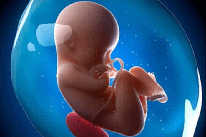 Xét nghiệm ADN thai nhi có ảnh hưởng gì không?