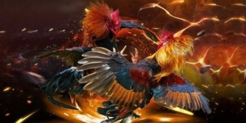Theo Dõi Đá Gà Trực Tuyến Tại SV368 - Khám Phá Trang Cá Cược 3 Những loại đá gà phổ biến tại sân chơi cá cược SV368