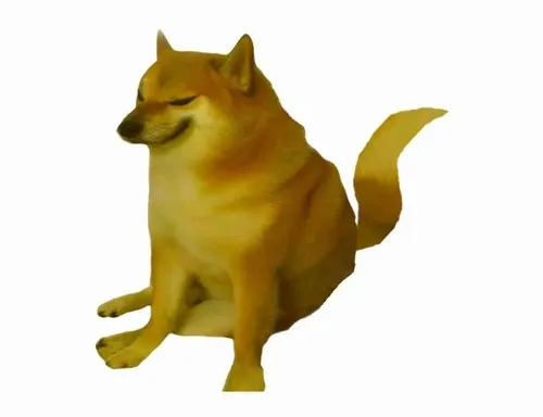 12 kiểu meme Cheems đại diện cho 12 con giáp tính cách chuẩn không cần chỉnh 1 meme cheems cho 12 con giap 1