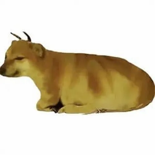 12 kiểu meme Cheems đại diện cho 12 con giáp tính cách chuẩn không cần chỉnh 10 meme cheems cho 12 con giap 10