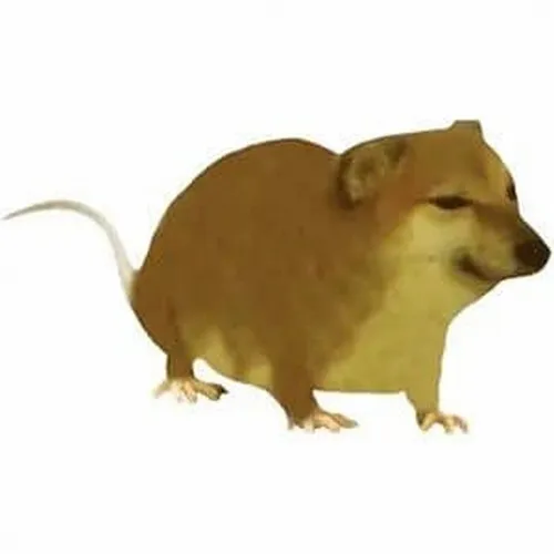 12 kiểu meme Cheems đại diện cho 12 con giáp tính cách chuẩn không cần chỉnh