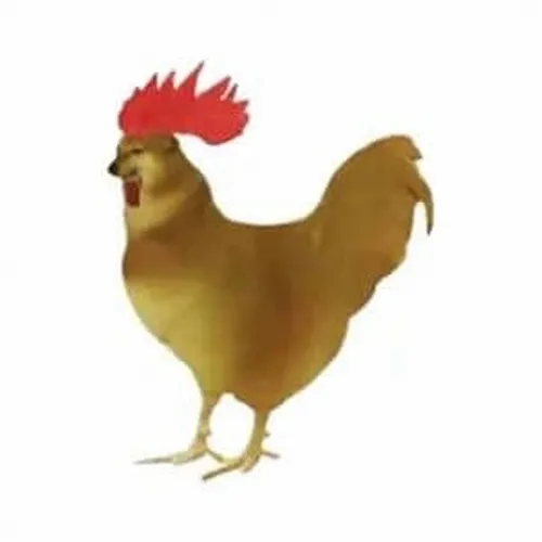 12 kiểu meme Cheems đại diện cho 12 con giáp tính cách chuẩn không cần chỉnh 12 meme cheems cho 12 con giap 12