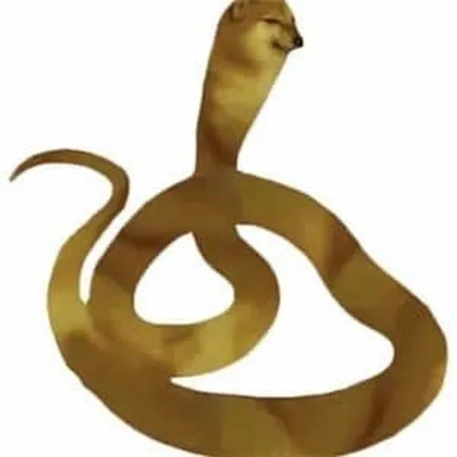 12 kiểu meme Cheems đại diện cho 12 con giáp tính cách chuẩn không cần chỉnh 3 meme cheems cho 12 con giap 3