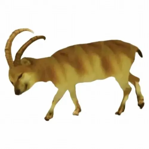 12 kiểu meme Cheems đại diện cho 12 con giáp tính cách chuẩn không cần chỉnh 6 meme cheems cho 12 con giap 6