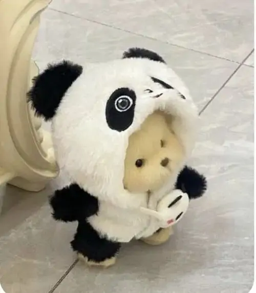 70 Ảnh Avatar Gấu Bông cute thể hiện sự thân thiện ngọt ngào và gu thẩm mỹ dễ thương