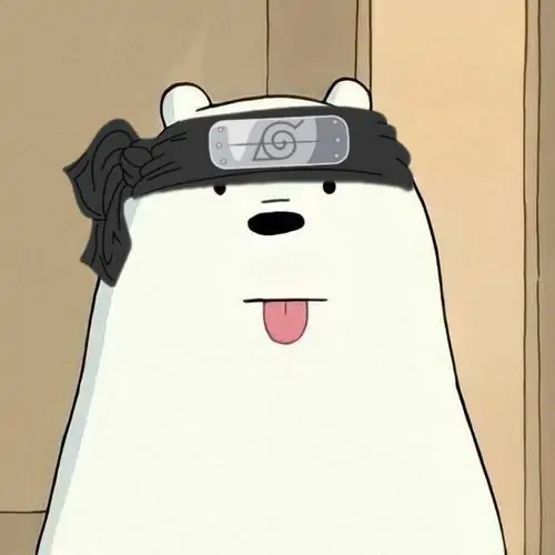 70 Ảnh Avatar Gấu Trắng Cute vừa đáng yêu vừa thân thiện vui mắt và đầy dấu ấn cá nhân