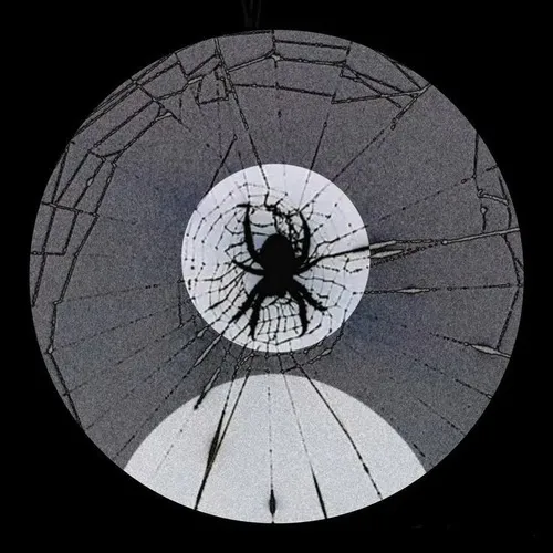 138 Ảnh Avatar Trắng Nam kiểu mặc định cơ bản giữ vẻ tối giản ẩn danh nhưng vẫn chỉnh chu 134 anh profile nam trang dep ngau 15