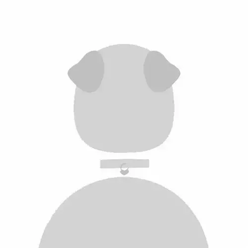 90 Ảnh Avatar Mặc Định Ngầu độc đáo nhìn qua đã thấy bí ẩn lạnh lùng và cực kỳ có cá tính 88 bo anh dai dien mac dinh chat 29