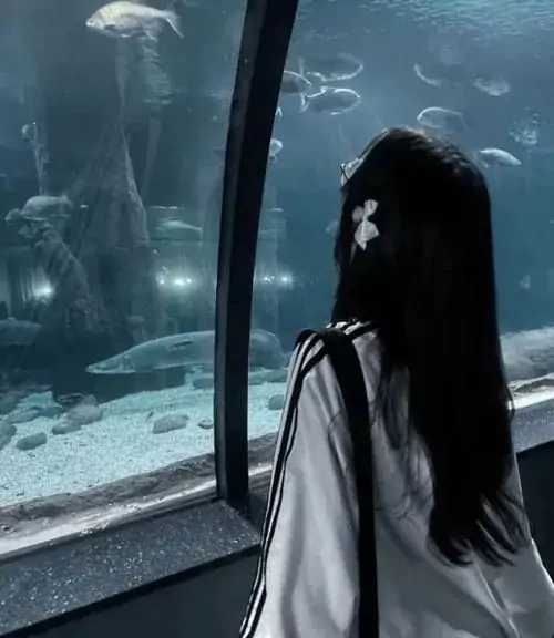 105 Ảnh Avatar Đen Trắng Buồn đầy tâm trạng tạo cảm giác cô đơn chạm đúng cõi lòng 51 hinh dai dien den trang co don tui than 12