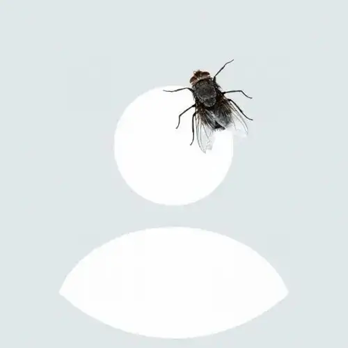 165 Ảnh Avatar Trắng Mặc Định cơ bản cho người sống lowkey thích ẩn danh trên MXH