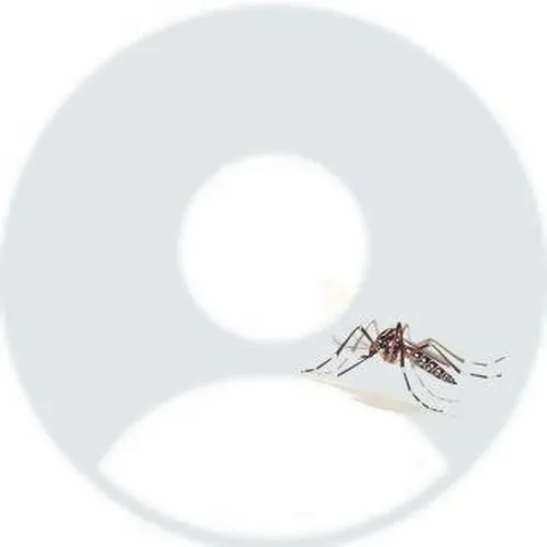 138 Ảnh Avatar Trắng Nam kiểu mặc định cơ bản giữ vẻ tối giản ẩn danh nhưng vẫn chỉnh chu 91 hinh profile trang nam co ban 12